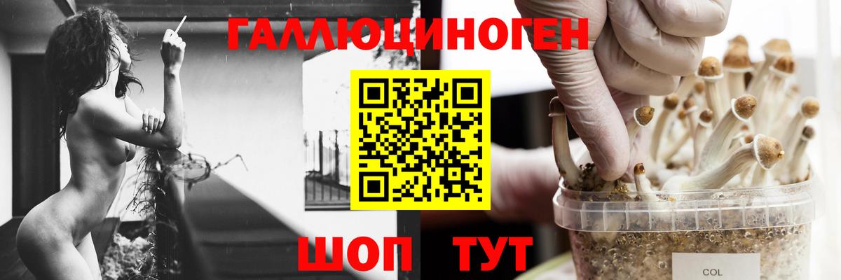 Новотроицк  Галлюциногенные грибы мицелий  Вход с VPN  Псилоцибиновые грибы Psilocybe 